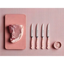 Wusthof Classic 4-Piece Steak Knife Set - Pink Sea Salt -COOKWARE Store 2a ac46dc34 92c9 4271 8a0f 4fa5b8daeb5a