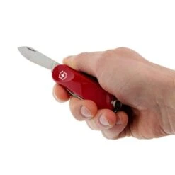 Victorinox Swiss Army 85mm Multi-Tool, Evolution S14 Pocket Knife, Red -COOKWARE Store 51PPT0lJwuL. AC SL1000