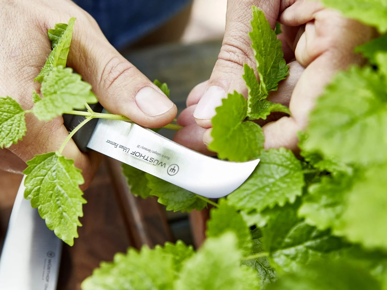 Wusthof Urban Farmer 2 1/2" Pruning Knife 6 Wusthof Urban Farmer 2 1/2" Pruning Knife - Image 6