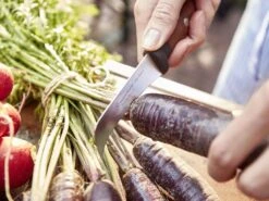 Wusthof Urban Farmer 2 1/2" Pruning Knife 13 Wusthof Urban Farmer 2 1/2" Pruning Knife -COOKWARE Store 816 rv5EahL. AC SL1500