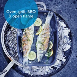 BK Black Steel Preseasoned Carbon Steel BBQ Roaster, 15" 8 BK Black Steel Preseasoned Carbon Steel BBQ Roaster, 15" -COOKWARE Store A1D5WNkDewL. AC SX679