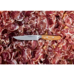 Wusthof Amici 4.5" Steak Knife -COOKWARE Store am mood 19